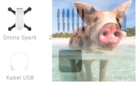 Dron DJI Spark (kamera 1080p 12MP, LiPo 1480mAh, zasięg 500m) Dron DJI Spark (kamera 1080p 12MP, LiPo 1480mAh, zasięg 500m)