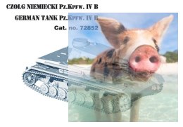 German Tank Pz.Kpfw. IV Ausf. B 