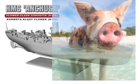 HMS "Anchusa" Brytyjska Korweta klasy Flower K186
