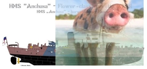 HMS "Anchusa" Brytyjska Korweta klasy Flower K186