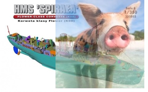 HMS "SPIRAEA" Brytyjska Korweta klasy Flower K08