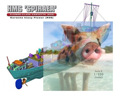 HMS "SPIRAEA" Brytyjska Korweta klasy Flower K08