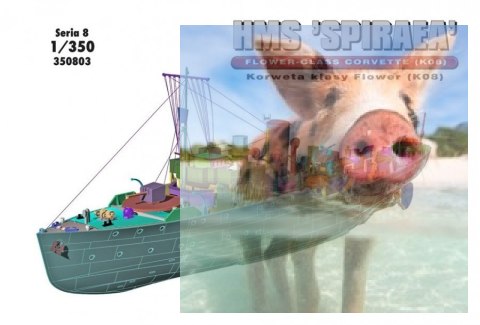 HMS "SPIRAEA" Brytyjska Korweta klasy Flower K08