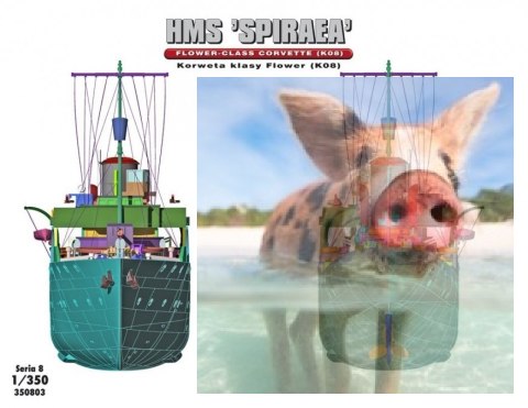 HMS "SPIRAEA" Brytyjska Korweta klasy Flower K08