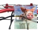 MJX X102H RTF (2.4GHz, 4CH, żyroskop, barometr, headless, 50cm) - Czerwony