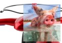 MJX X102H RTF (2.4GHz, 4CH, żyroskop, barometr, headless, 50cm) - Czerwony