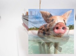 M/s BATORY Polski Statek Pasażersko-Drobnicowy