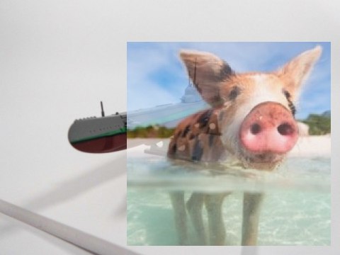 ORP "ORZEŁ" Polski Okręt Podwodny 1939