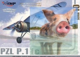 PZL P.11c Polska Wersja Myśliwska