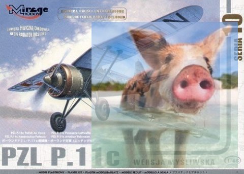 PZL P.11c Polska Wersja Myśliwska