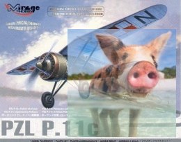 PZL P.11c seria 09