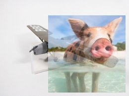 R.W.D.-8 PWS Polski Samolot Szkolno-Łącznikowy