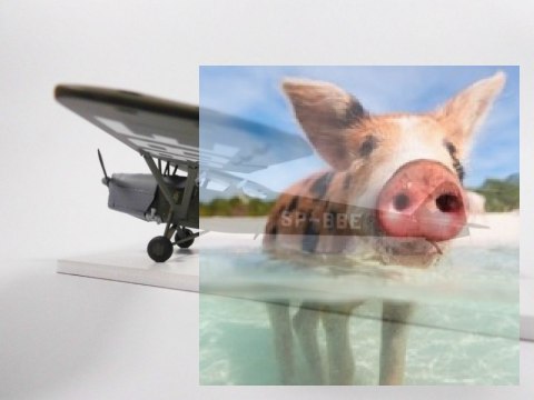 R.W.D.-8 PWS Polski Samolot Szkolno-Łącznikowy