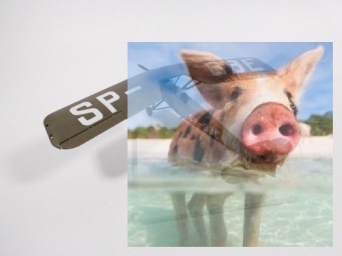 R.W.D.-8 PWS Polski Samolot Szkolno-Łącznikowy