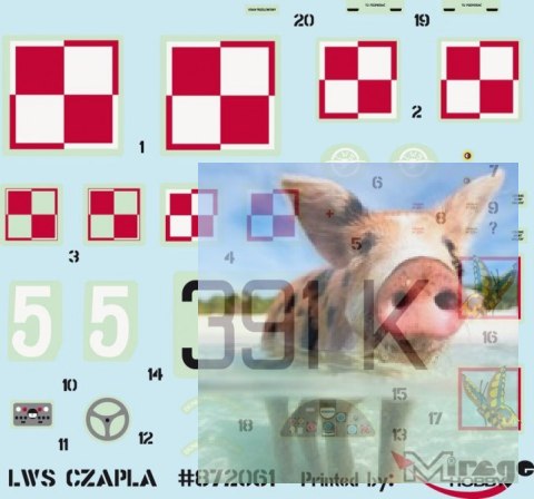 RWD LWS 14b "CZAPLA" Polski Samolot Towarzyszący