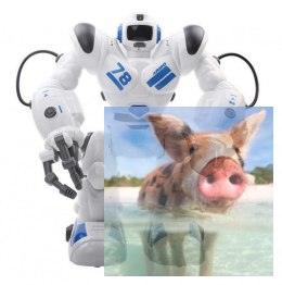 Robohoter RTR, programowanie ruchów