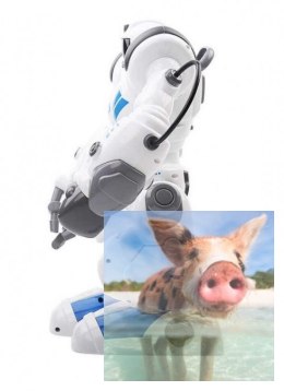 Robohoter RTR, programowanie ruchów