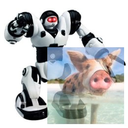 Robone RTR Robot zdalnie sterowany, programowanie ruchów