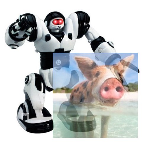 Robone RTR Robot zdalnie sterowany, programowanie ruchów