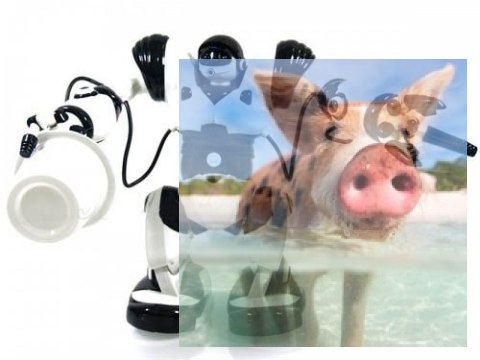 Robone RTR Robot zdalnie sterowany, programowanie ruchów