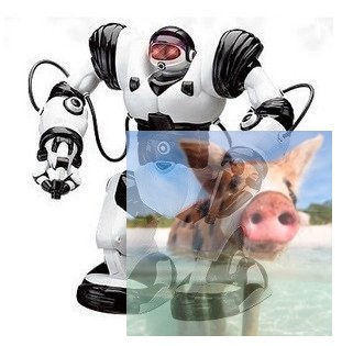 Robone RTR Robot zdalnie sterowany, programowanie ruchów