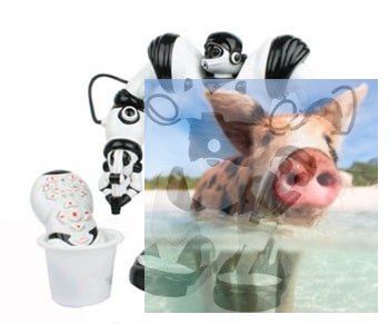 Robone RTR Robot zdalnie sterowany, programowanie ruchów