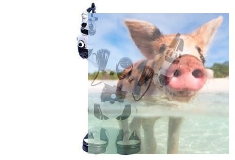 Robone RTR Robot zdalnie sterowany, programowanie ruchów