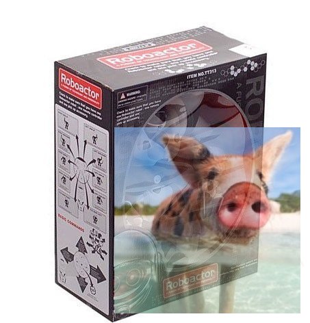 Robone RTR Robot zdalnie sterowany, programowanie ruchów