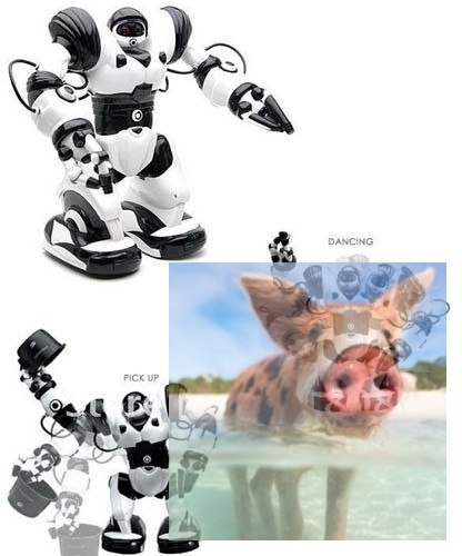 Robone RTR Robot zdalnie sterowany, programowanie ruchów