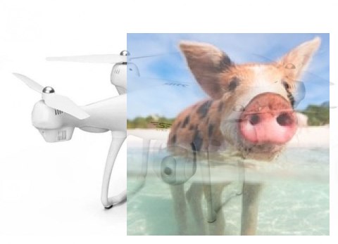 SJRC S70W (GPS, kamera FPV 1080P WIFI, zasięg 150m) - biały SJRC S70W (GPS, kamera FPV 1080P WIFI, zasięg 150m) - biały