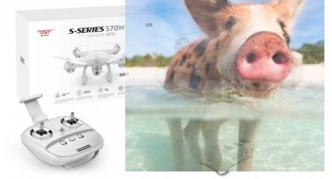 SJRC S70W (GPS, kamera FPV 720p WIFI, zasięg 150m) - biały