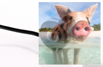 Silnik bezszczotkowy T-MOTOR GB2208 do gimbali