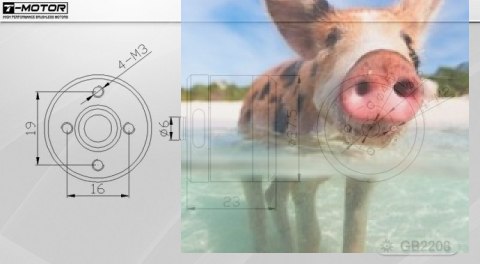 Silnik bezszczotkowy T-MOTOR GB2208 do gimbali