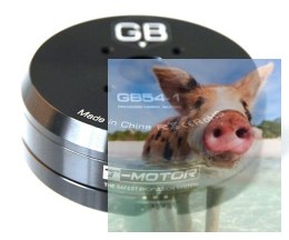 Silnik bezszczotkowy T-MOTOR GB54-1 do gimbali