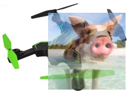 Syma X56W-P (kamera HD, zasięg 70m) - zielony