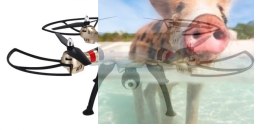 Syma X8HW (kamera FPV 1MP, 2.4GHz, funkcja zawisu, zasięg do 70m, 50cm) - ZŁOTY