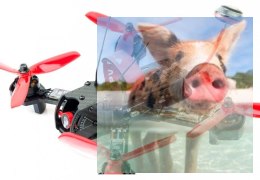 Walkera Furious 215 RTF1 (Devo 7 2.4GHz 6CH, kamera 600TVL, transmisja FPV do 1,5km)