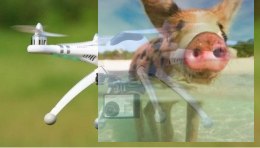 Walkera QR X350 PRO RTF5 (Devo 10, G-2D, kamera iLook, antena 5,8GHz, 2 akumulatory)