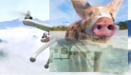 Walkera QR X350 PRO RTF5 (Devo 10, G-2D, kamera iLook, antena 5,8GHz, 2 akumulatory)