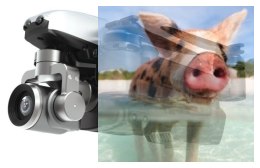 Walkera Vitus 320 (Active Track, GPS, wideo 4k, AR Games)