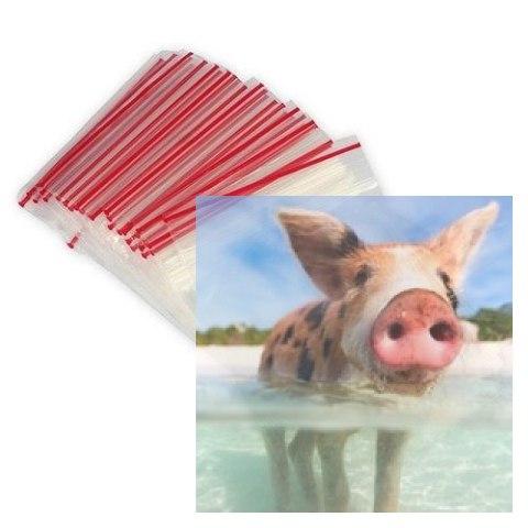 Woreczki strunowe 50x70mm - 100 szt.