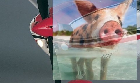 Cessna 182 Sky Lane KIT (rozpiętość 141cm, klasa 500)