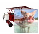 Fokker DR1 ARF Balsa 770mm
