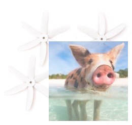 GEMFAN: Śmigła Gemfan Glass Fiber Nylon 6 Blade 5x4 białe (CW+CCW)