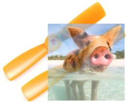 HQ Prop Bullnose Prop 4x4.5 pomarańczowe (2xCCW)