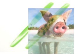 HQ Prop Direct Drive C-Prop 6x3 zielone (2xCW)