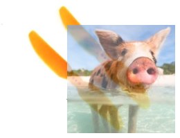 HQ Prop Direct Drive Prop 3X3 pomarańczowy (2xCCW)