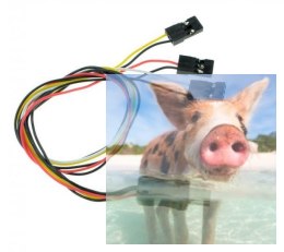 Kabel Serwo do kamery Foxeer Legend 1
