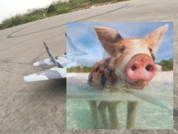 Mig-29 mini PNP (rozpiętość 57cm, silnik bezszczotkowy, regulator 20A, serwa)