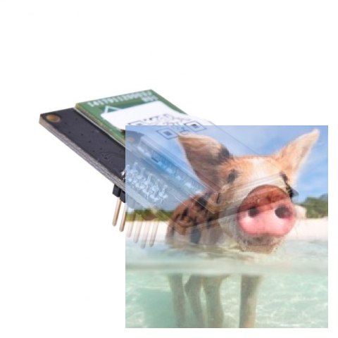 Moduł WiFi do kamery RunCam Split